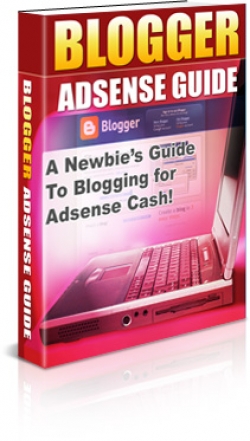 Blogger Adsense Guide