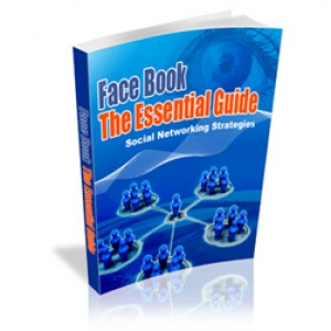 Facebook The Essential Guide